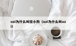 uzi为什么叫狂小狗（uzi为什么叫uzi）