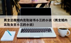 男主总裁婚内出轨秘书小三的小说（男主婚内出轨女主小三的小说）